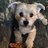 JEE628's profile image