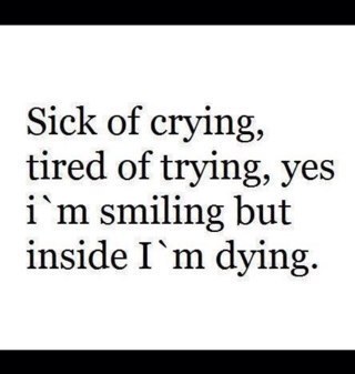 milz_scriptette's profile picture. 