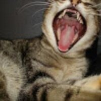 JDub (@anarchyjuicetv) 's Twitter Profile