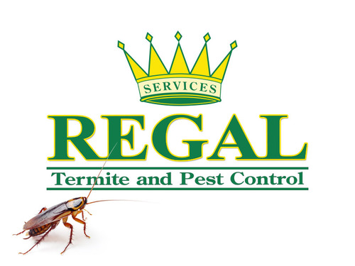 Regal Pest Control Regalpests Twitter Regal Pest Control