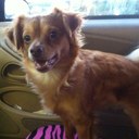 crystal briscoe - @BriscoeShel - Twitter