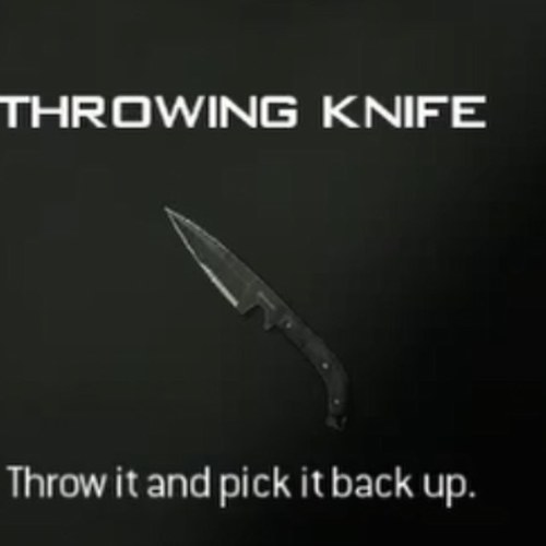 Knifer, killcamer, anf also a youtuber. Go check out my channel. MrThrowMyKnive is my YT name.