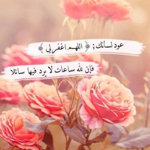 لأني أحبها ، جعلتُ هذا الحساب يفيدها فِ الآخرة .. أمدَ الله لي بعمرها وأبقانا سوياً حتى أضع كفي ب كفك فِ الجنة بإذن الله ♡. @HemoBintE_