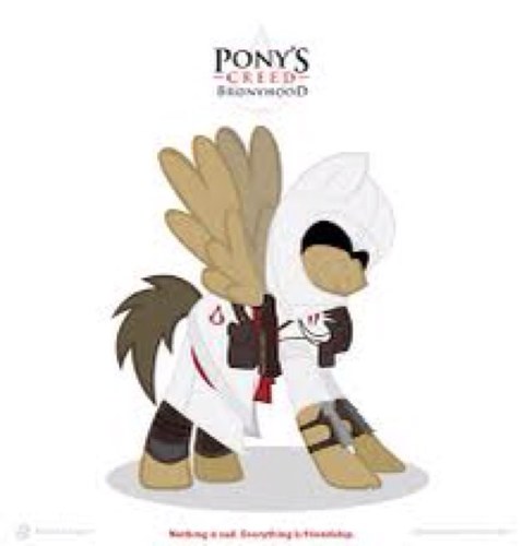 My name Altair lbn ab-ahad the first Assassin in ponyfille i want peace from ponyfille (1165-1257)
