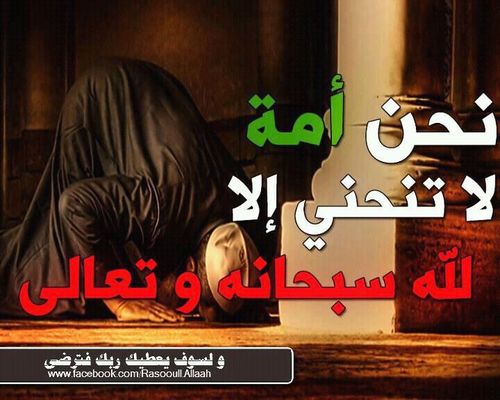 almutasimalkhar's profile picture. 