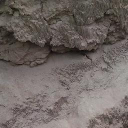 FemkeSchilders's profile picture. _@_/