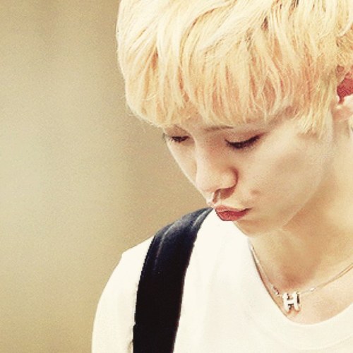 luhan ( bot ) ※ ( ☾夜中浮上の為低浮上 )