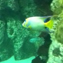 Ryan Lundberg - @Ryanlundberg278 - Twitter