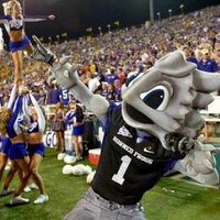 Funky Frog (@funkyfrog1) 's Twitter Profile