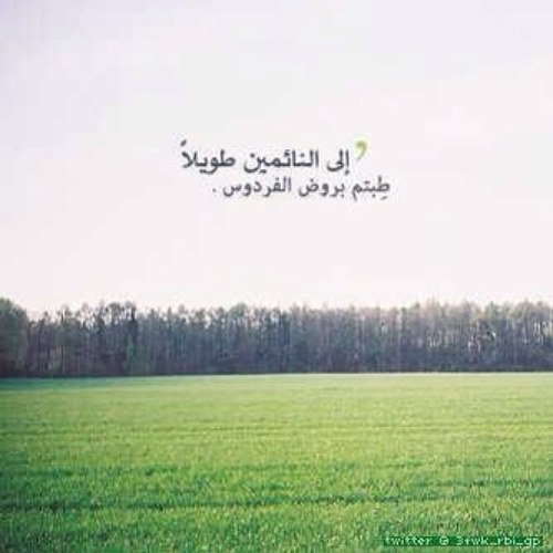 اللهم ارحم من فارق ديارنا وأصبح القبر داره ، اللهم آنس وحشتهم ونور قبورهم واغفر ذنوبهم ، اللهم وابني لنا ولهم بيوتا في الجنة ..امين