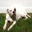 Ella stern - @Ellastern28Ella - Twitter