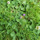 Tim Race - @tim_race - Twitter