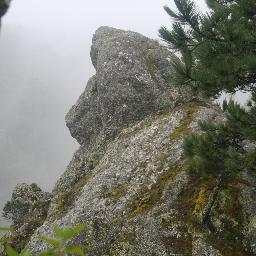 norpsma's profile picture. 