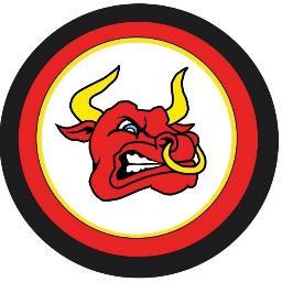 BedfordBullsHC's profile picture. Bedfordshire Bulls Handball Club - Midlands League Two