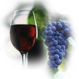 Buy Local, Buy Arizona Wine!  🍷 🍷 Check out our upcoming festivals! 
https://t.co/CCIWZWOtny | https://t.co/OiWUq5TAtf