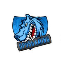 MacheTeN1's profile picture. 15. Jugador de competitivo desde 2013!. Capitan de @RayeSportClub en @RayPS3 Ex de Aversion, MANCORGI, Five, Pure, OP96 y KIYF entre otros // PROMESA DE PS3!