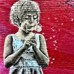 Amy_Thorp's profile picture. 📸 PHOTOGRAPHER @YXEPHOTOGRAPHY