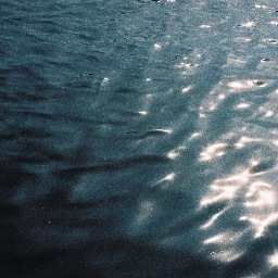 Alassan_Diaw's profile picture. 