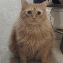 Donna Whitlock - @djeanwhit - Twitter