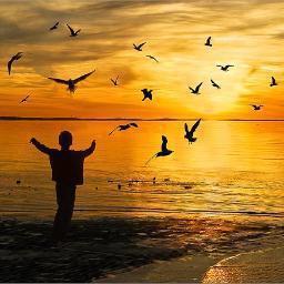 flavialaporte's profile picture. PERSONAL ACCOUNT