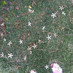 Marjosnyder's profile picture. 