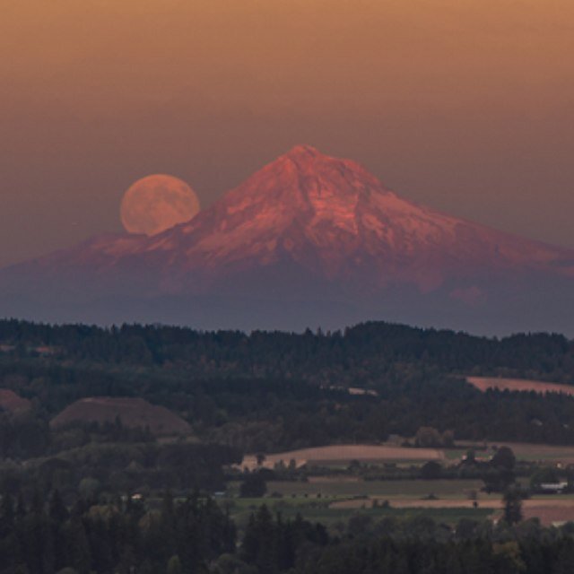 hsegura98's profile picture. 