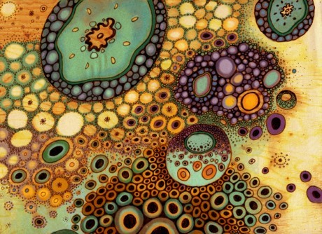 fallfromgracee's profile picture. 