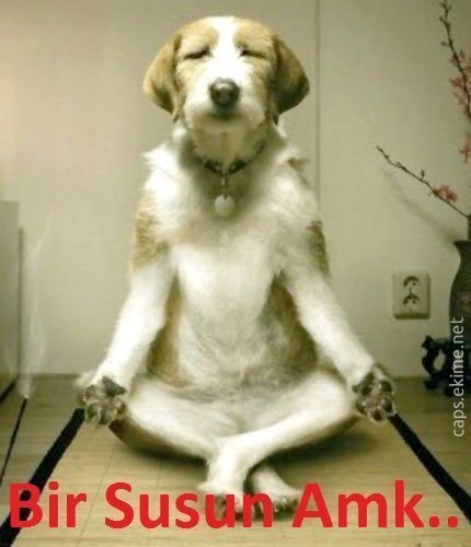 TopalSafa's profile picture. hayvan sever