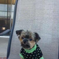 Susan Huff (@mimasue) 's Twitter Profile