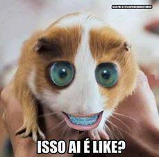 wiistreet1's profile picture. 