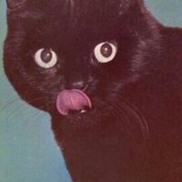 David Gilmore (@dgilmoredesign) 's Twitter Profile