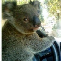 Tuft (@tttuuuft) 's Twitter Profile