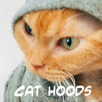 CatHoodies.com(@CatHoodies) 's Twitter Profile Photo
