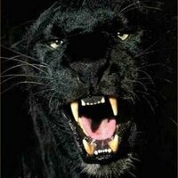 Milton High School (@miltonpanthers) 's Twitter Profile