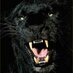 Milton High School (@miltonpanthers) Twitter profile photo