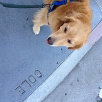 Megan W. Taylor (@ilovemath11) 's Twitter Profile Photo