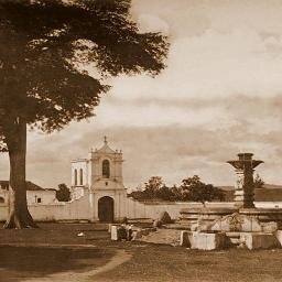 PalmaGpalm's profile picture. lector, bibliófilo