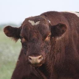 Prairie_Sky_Acr's profile picture. 