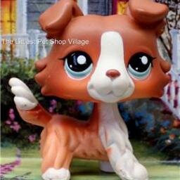 its me lps greatdane but this is my main acc lol,single,love my followers,if you follow me ill follow back thx ! followers:Di love @joeygraceffa