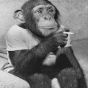 Adrian Finley - @AdrianFinley10 - Twitter