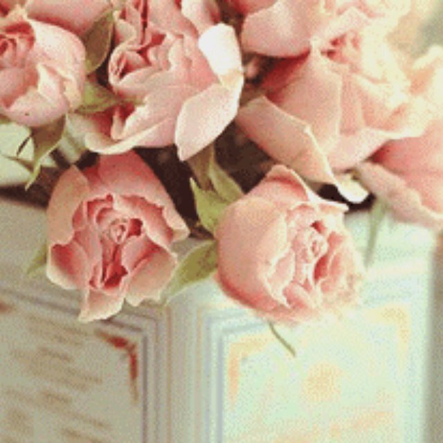 غصبن على الألآم ترجع وطن من جديد ❤