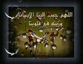(اللهم أصلح لي نيتي وذريتي)