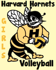 We are Hornet Volleyball!