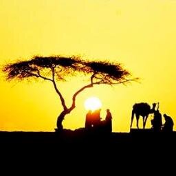 Siccome una giornata bene spesa dà lieto dormire, così una vita bene usata dà lieto morire