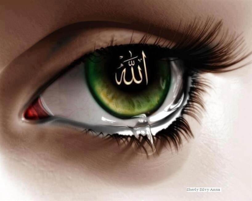 kimiepro's profile picture. sunway pyramid