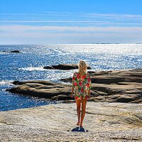 Visit Hvaler (@visithvaler) 's Twitter Profile