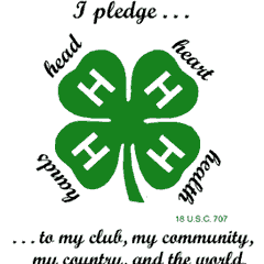 Tennessee 4-H encourages diverse groups of youth to develop their unique skills and talents to the fullest potential.