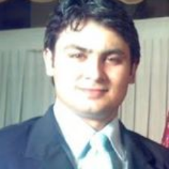 Picture
