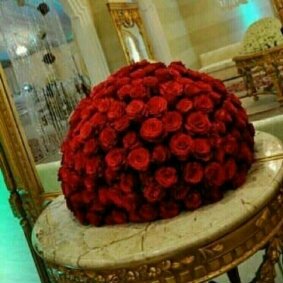 1206022's profile picture. 