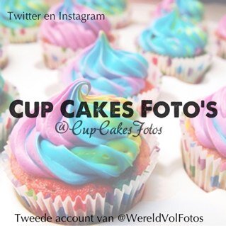 Houdt jij ook van cup cakes en taarten maken? Volg dan dit account voor leuke voorbeelden!